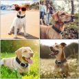 Benepaw-Adjustable-Dog-Collar-Durable-Soft-Rubber-Coated-Webbing-Waterproof-Easy-To-Clean-Pet-Collars-For-3