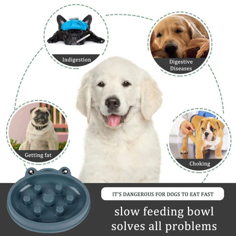 Benepaw-Anti-Gulping-Dog-Bowl-Eco-friendly-Non-Slip-Pet-Slow-Feeder-Cat-Puppy-Food-Feeding-3