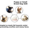 Benepaw-Antislip-Raised-Dog-Bowl-With-Stand-Safe-Adjustable-Tilted-Durbale-Pet-Feeder-Food-Detachable-Puppy