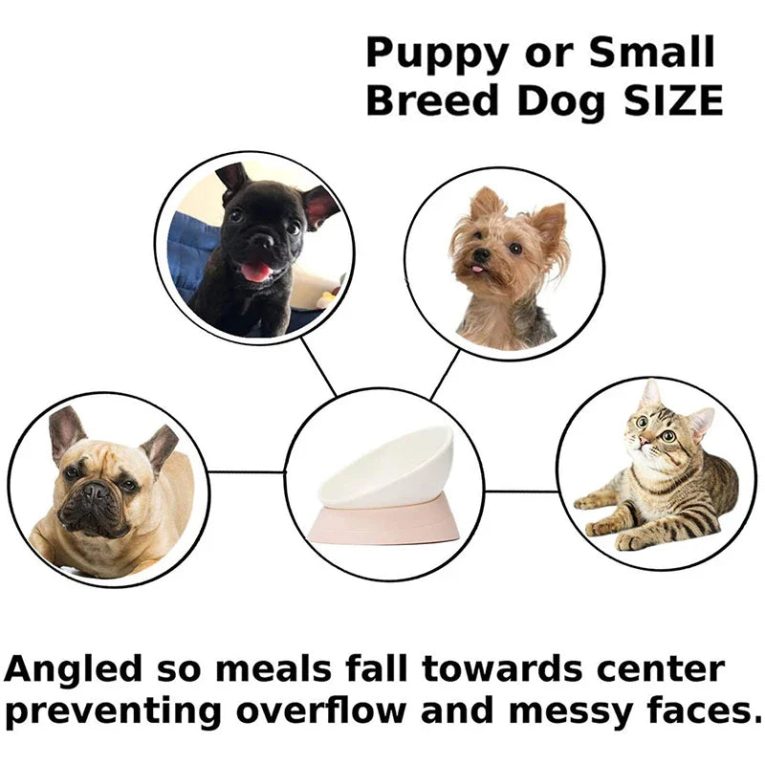 Benepaw-Antislip-Raised-Dog-Bowl-With-Stand-Safe-Adjustable-Tilted-Durbale-Pet-Feeder-Food-Detachable-Puppy