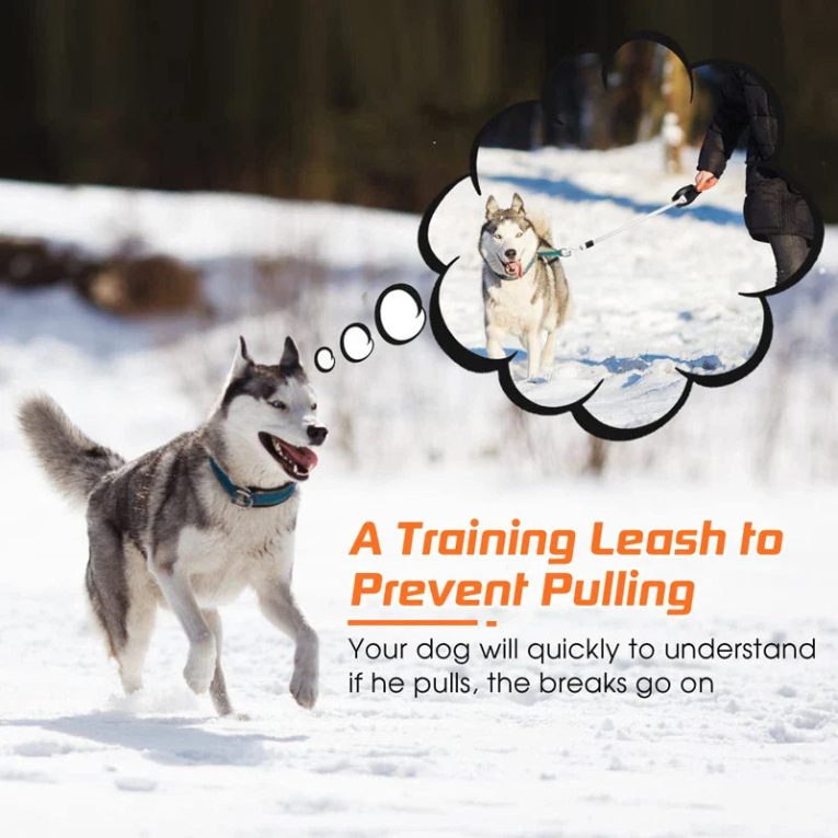 Benepaw-Autobrake-Retractable-Dog-Leash-For-Large-Dogs-Prevent-Pulling-Comfortable-Heavy-Duty-No-Tangle-Pet-3