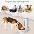 Benepaw-Automatic-Cat-Dog-Feeder-Clog-Free-Design-Pet-Food-Dispenser-For-Large-Medium-Small-Dogs-3