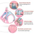 Benepaw-Breathable-Small-Dog-Leash-Set-Harness-Comfortable-Reflective-Durable-Air-Mesh-Escape-Proof-No-pull