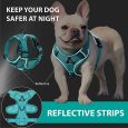 Benepaw-Comfortable-No-Pull-Dog-Harnesses-Pet-Leash-Set-Breathable-Adjustable-Reflective-Choke-Free-Pet-Vest-1