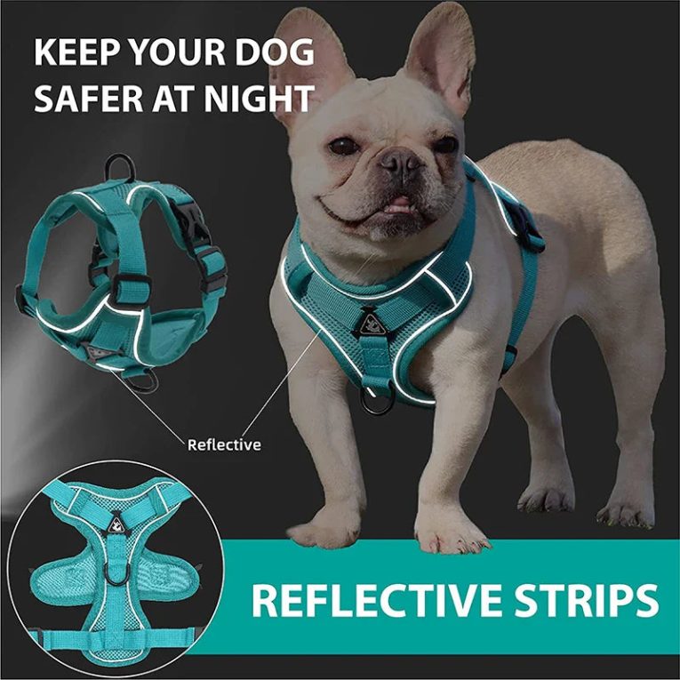 Benepaw-Comfortable-No-Pull-Dog-Harnesses-Pet-Leash-Set-Breathable-Adjustable-Reflective-Choke-Free-Pet-Vest-1