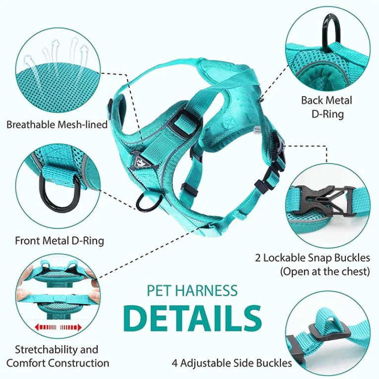 Benepaw-Comfortable-No-Pull-Dog-Harnesses-Pet-Leash-Set-Breathable-Adjustable-Reflective-Choke-Free-Pet-Vest