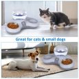 Benepaw-Double-Cat-Water-Food-Bowl-Set-Tilted-Pet-Water-Dispenser-Feeder-Automatic-Gravity-Crescent-Waterer-1