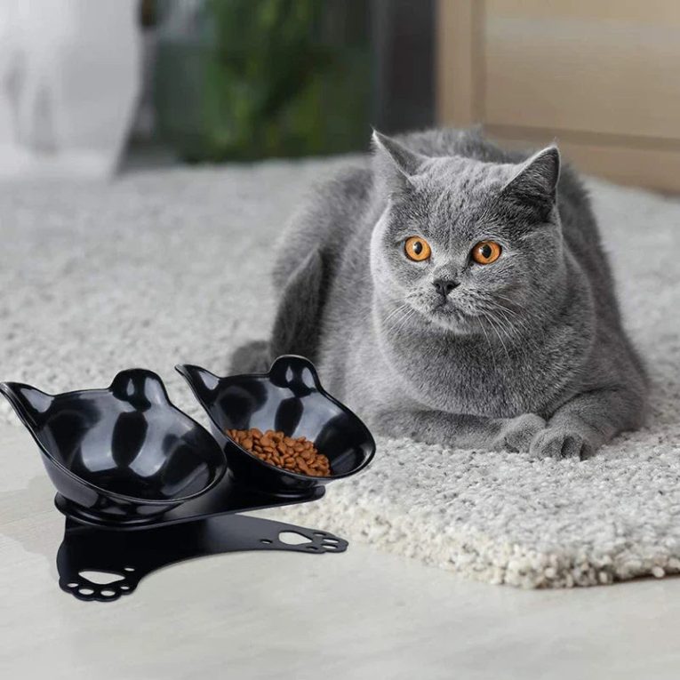 Benepaw-Double-Raised-Cat-Bowls-Eco-friendly-Tilted-Removable-Food-Water-Pet-Feeder-Non-Slip-Rubber-3