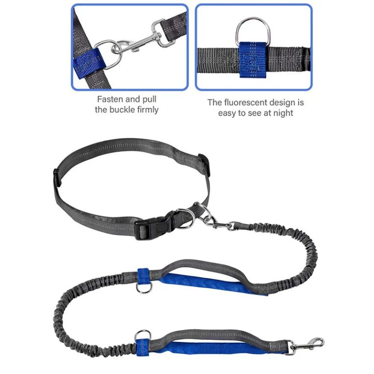 Benepaw-Dual-Handles-Hands-Free-Dog-Leash-Running-Reflective-Stitching-Handsfree-Pet-Leash-For-Medium-Large-1