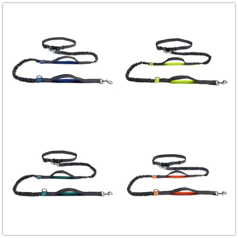 Benepaw-Dual-Handles-Hands-Free-Dog-Leash-Running-Reflective-Stitching-Handsfree-Pet-Leash-For-Medium-Large