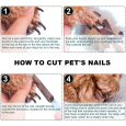 Benepaw-Durable-Dog-Nail-Cutter-Efficient-Pet-Nail-Clipper-For-Dogs-With-Safety-Guard-To-Avoid-1