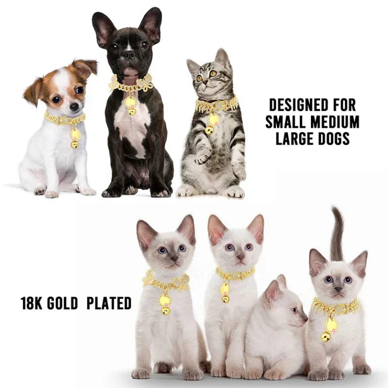 Benepaw-Durable-Gold-Dog-Collar-Bling-CZ-Diamond-Chain-Secure-Buckle-Rivet-Metal-Puppy-Cuban-Link-3