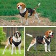 Benepaw-Durable-No-Pull-Dog-Harness-Air-Mesh-2-Leash-Clips-Reflective-Control-Handle-Pet-Vest-2