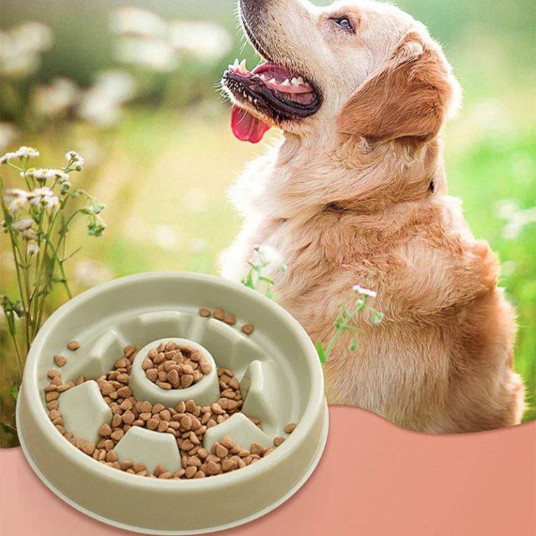 Benepaw-Durable-Slow-Feeder-Dog-Bowl-Nontoxic-Nonslip-Anti-collision-Puppy-Food-Pet-Feed-Bowl-Prevents-3