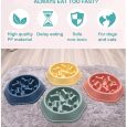Benepaw-Durable-Slow-Feeder-Eco-friendly-Anti-slip-Slow-Eating-Healthy-Bone-Design-Food-Pet-Bowl-2