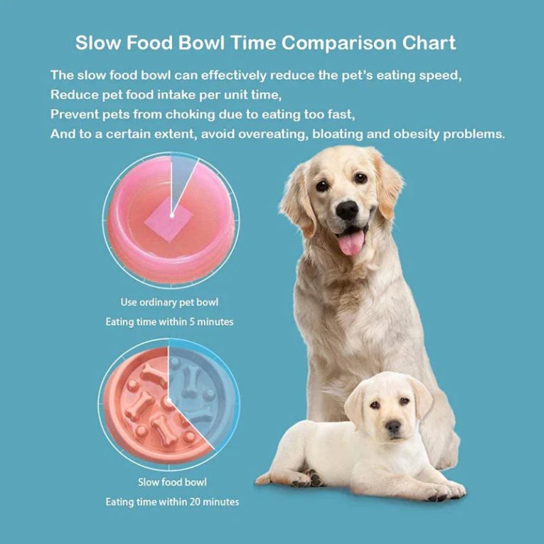 Benepaw-Durable-Slow-Feeder-Eco-friendly-Anti-slip-Slow-Eating-Healthy-Bone-Design-Food-Pet-Bowl-3