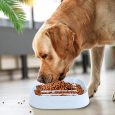 Benepaw-Eco-friendly-Slow-Feeder-Dog-Bowl-Slow-Eating-Anti-Slip-Prevent-Choking-Non-Toxic-Pet-3