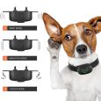 Benepaw-Electric-Anti-Bark-Dog-Training-Collar-Adjustable-Sensitivity-Waterproof-Rechargeable-Beeper-Dog-Collars-No-Harm-2