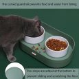 Benepaw-Elevated-Dog-Cat-Food-Bowls-No-Spill-Pet-Water-Food-Feeder-Puppy-Kitten-Dish-Set-1