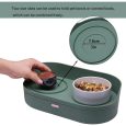 Benepaw-Elevated-Dog-Cat-Food-Bowls-No-Spill-Pet-Water-Food-Feeder-Puppy-Kitten-Dish-Set-2