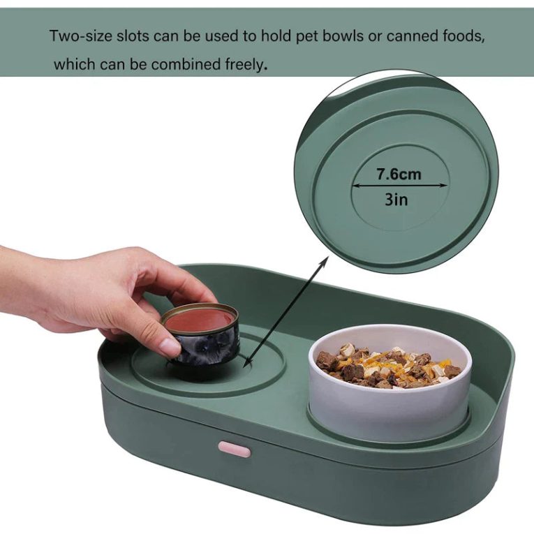 Benepaw-Elevated-Dog-Cat-Food-Bowls-No-Spill-Pet-Water-Food-Feeder-Puppy-Kitten-Dish-Set-2
