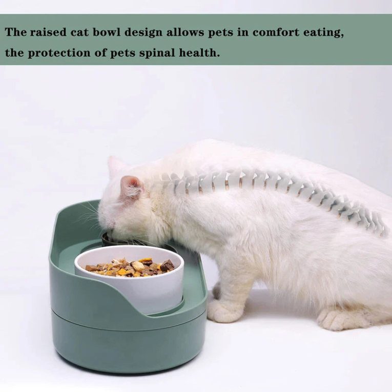 Benepaw-Elevated-Dog-Cat-Food-Bowls-No-Spill-Pet-Water-Food-Feeder-Puppy-Kitten-Dish-Set-3