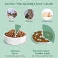 Benepaw-Fun-Mountain-Ridges-Non-Slip-Pet-Slow-Feeder-Dog-Food-Bowl-Interactive-Cat-Puppy-Dish