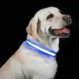Benepaw-LED-Dog-Collar-USB-Rechargeable-Comfortable-Reflective-Bright-Light-Up-Glow-Collars-For-Small-Medium