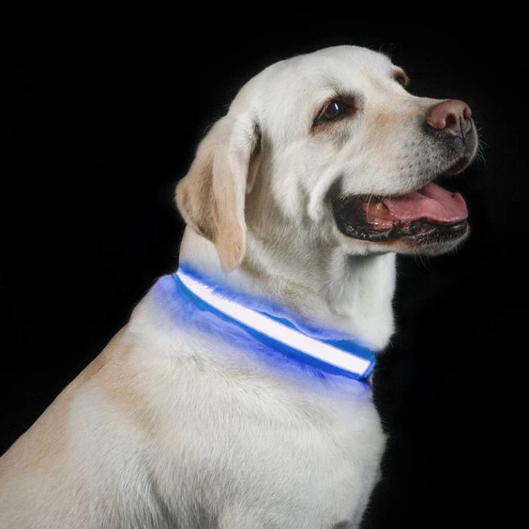 Benepaw-LED-Dog-Collar-USB-Rechargeable-Comfortable-Reflective-Bright-Light-Up-Glow-Collars-For-Small-Medium