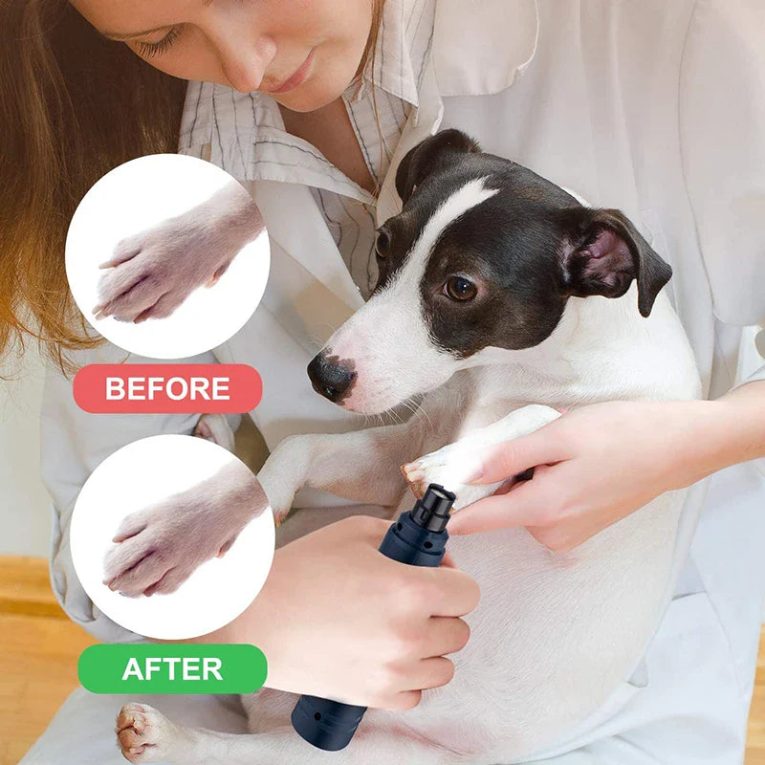 Benepaw-LED-Light-Dog-Nail-Grinder-2-Speed-USB-Charging-Electric-Pet-Nail-Trimmer-Low-Noise-3