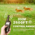 Benepaw-Led-Light-Dog-Training-Collar-Waterproof-Safe-Pet-Puppy-Shock-Collar-Beeper-Anti-Barking-Device-2