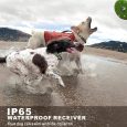Benepaw-Led-Light-Dog-Training-Collar-Waterproof-Safe-Pet-Puppy-Shock-Collar-Beeper-Anti-Barking-Device_jpg