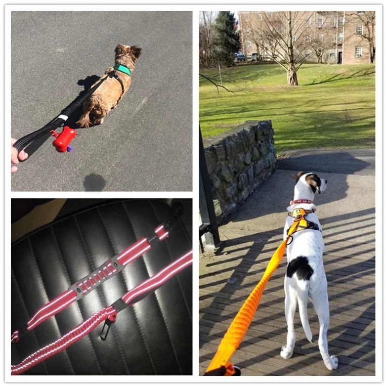Benepaw-Multifunctional-Heavy-Duty-Bungee-Dog-Leash-Reflective-Shock-Absorbing-Training-Leash-2-Traffic-Handle-Dog-3