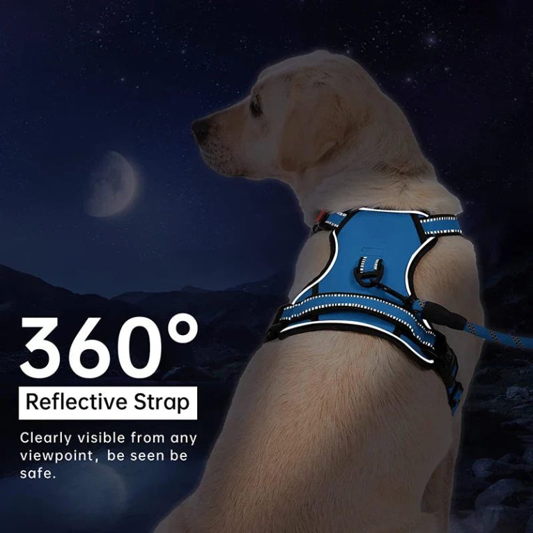 Benepaw-No-Pull-Dog-Harness-Comfortable-Reflective-Control-Handle-Padded-Puppy-Pet-Vest-Harness-For-Small-2