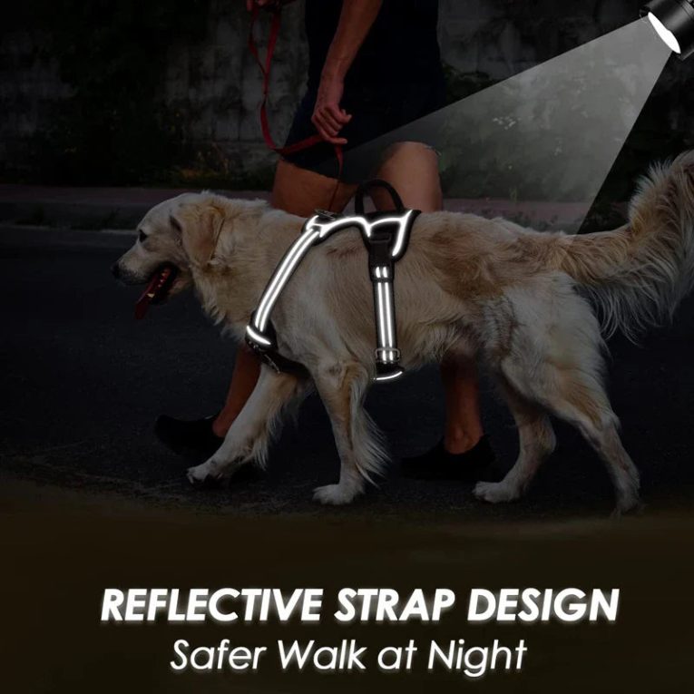 Benepaw-No-Pull-Dog-Harness-No-Choke-Easy-Control-Handle-Reflective-Pet-Harness-2-Leash-Clips-1