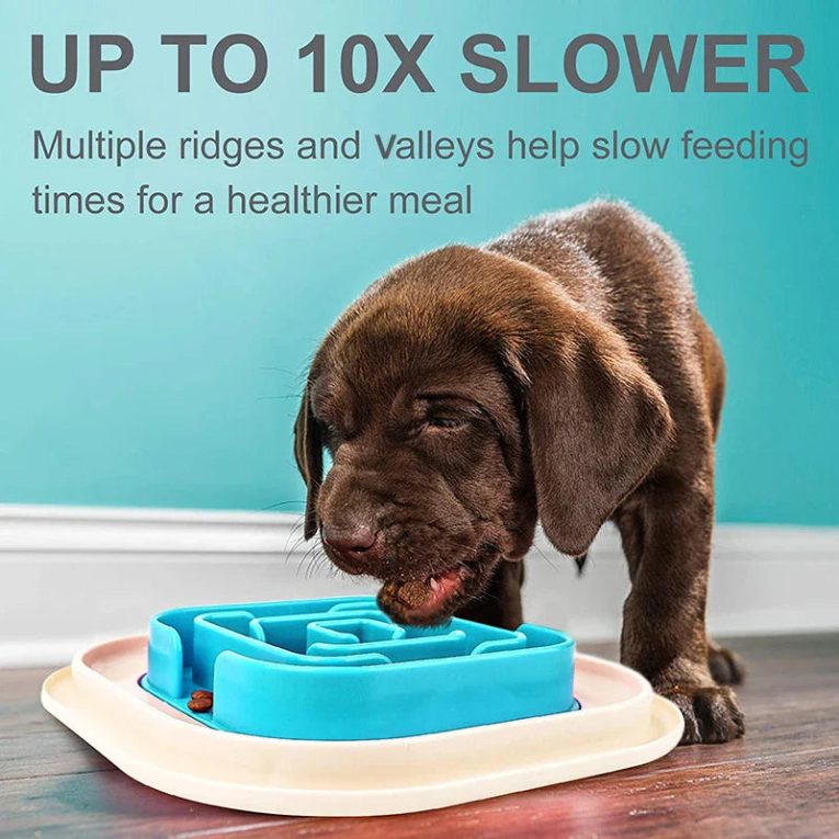 Benepaw-No-Spill-Food-Bowls-For-Dogs-Healthy-Feeding-Long-lasting-Non-Skidding-Pet-Slow-Feeder