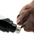 Benepaw-Powerful-Electric-Dog-Nail-Grinder-USB-Rechargeable-Ultra-Quiet-Cat-Safe-Pet-Nail-Trimmer-Gentle-1