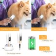 Benepaw-Professional-Cordless-Dog-Hair-Trimmer-Rechargeable-Powerful-Motor-LCD-Display-Ultra-sharp-Blade-Pet-Clipper