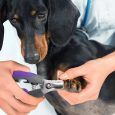 Benepaw-Professional-Dog-Clipper-With-Nail-File-Comfortable-Handle-Lock-Pet-Nail-Clipper-Safety-Guard-To-1
