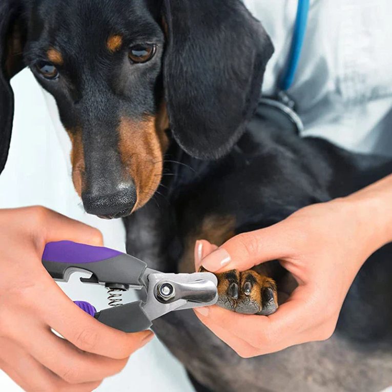 Benepaw-Professional-Dog-Clipper-With-Nail-File-Comfortable-Handle-Lock-Pet-Nail-Clipper-Safety-Guard-To-1