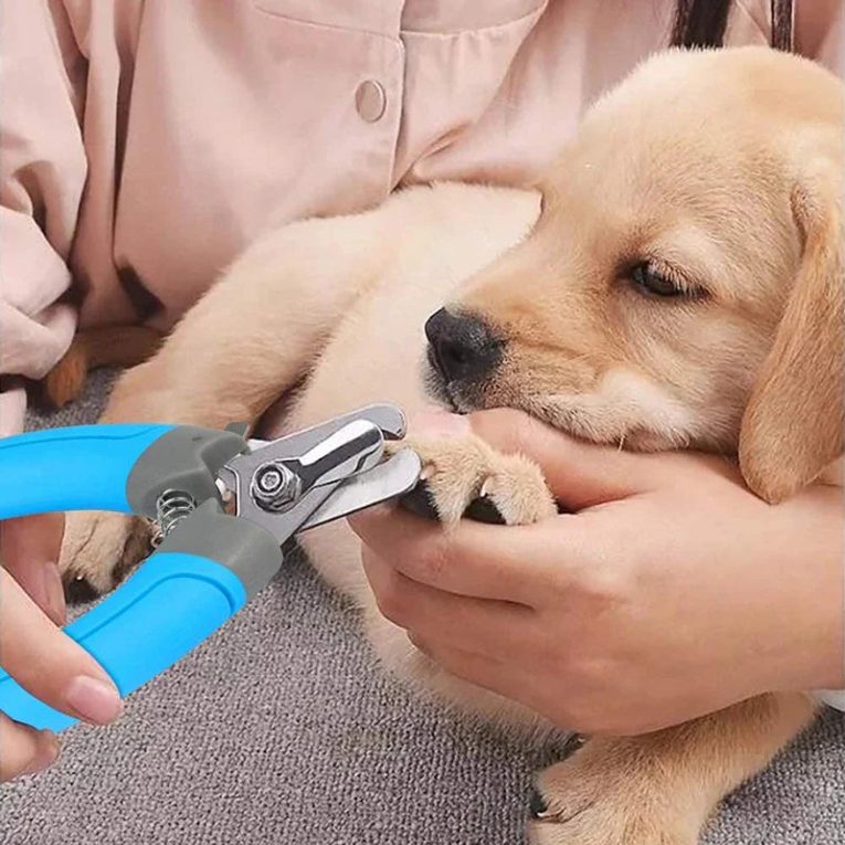 Benepaw-Professional-Dog-Nail-Clippers-Safety-Guard-Comfortable-Lock-Double-edged-Pet-Nail-Cutter-Trimmer-Puppy-3