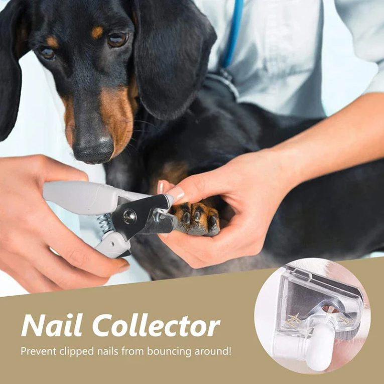 Benepaw-Professional-Light-Dog-Nail-Clippers-File-USB-Charging-Safe-Ergonomic-Handle-Pet-Nail-Trimmer-Trapper-1