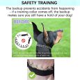 Benepaw-Prong-Dog-Training-Collar-Comfort-Tips-Quick-Release-Snap-Buckle-Pet-Choke-Pinch-Collar-For-2