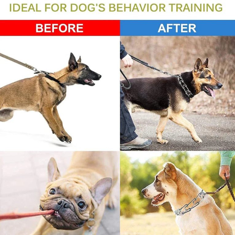 Benepaw-Prong-Dog-Training-Collar-Comfort-Tips-Quick-Release-Snap-Buckle-Pet-Choke-Pinch-Collar-For