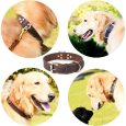 Benepaw-Quality-Genuine-Leather-Dog-Collar-Durable-Vintage-Heavy-duty-Rustproof-Double-D-Ring-Pet-Collar-2