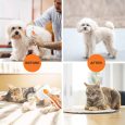 Benepaw-Self-cleaning-Dog-Brush-Massages-Particle-Anti-slip-Handle-Grooming-Pet-Comb-Remove-Undercoat-Shedding-2