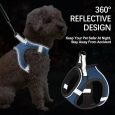 Benepaw-Soft-Small-Medium-Dog-Harness-Leash-Set-Reflective-Comfortable-Step-In-Pet-Vest-Harness-Padded-2