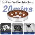 Benepaw-Stainless-Steel-Dog-Bowl-Anti-Gulping-Slow-Feeder-Safe-Washable-Pet-Food-Water-Bowl-Small-2
