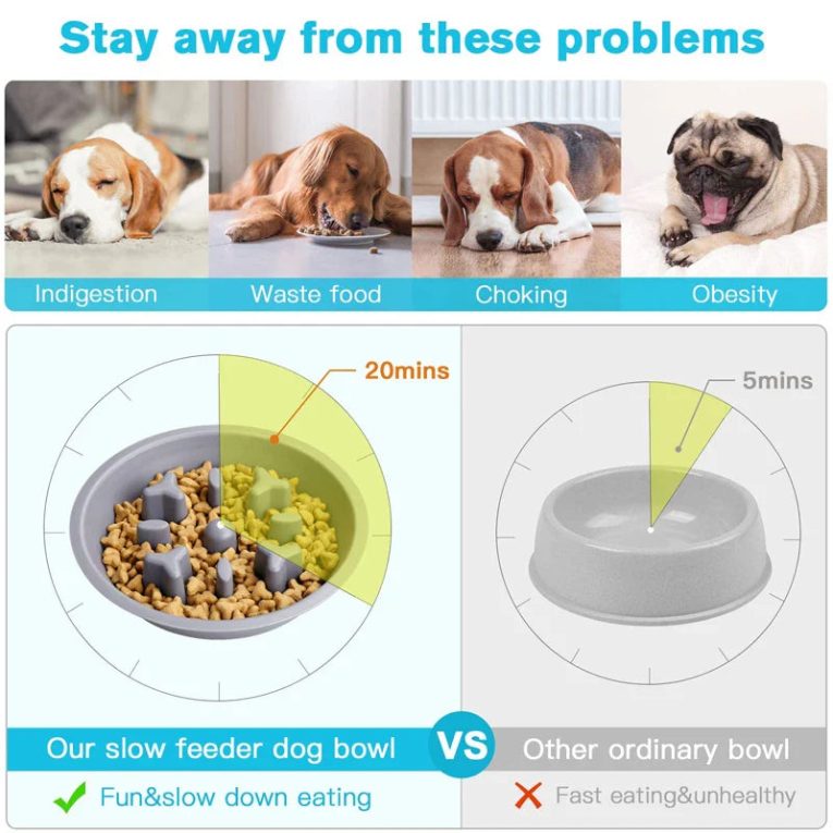 Benepaw-Stainless-Steel-Double-Dog-Bowls-Nontoxic-Non-Slip-Resin-Station-Pet-Water-Food-Dishes-Feeder-1