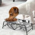 Benepaw-Stainless-Steel-Double-Dog-Bowls-With-Stand-Sturdy-Anti-skid-Elevated-Pet-Feeder-No-Flipping